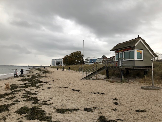 Artikel Ferienpark Ostsee: Der Strand von Scharbeutz im Herbst für einen ausgedehnten Spaziergang mit Hund
